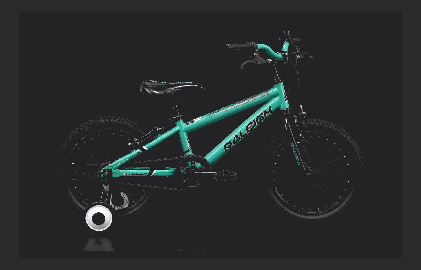 Raleigh Enduro
